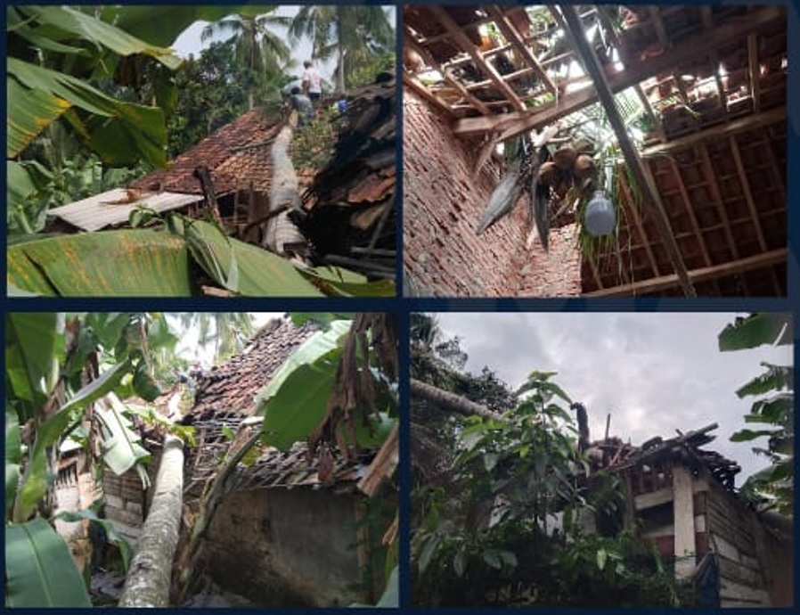 Pohon Kelapa Tumbang Diterjang Angin Kencang Timpa Rumah Warga di Katibung, Atap Rusak Berat